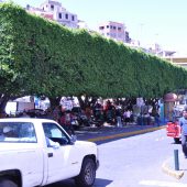  Guanajuato, Mexico 2009